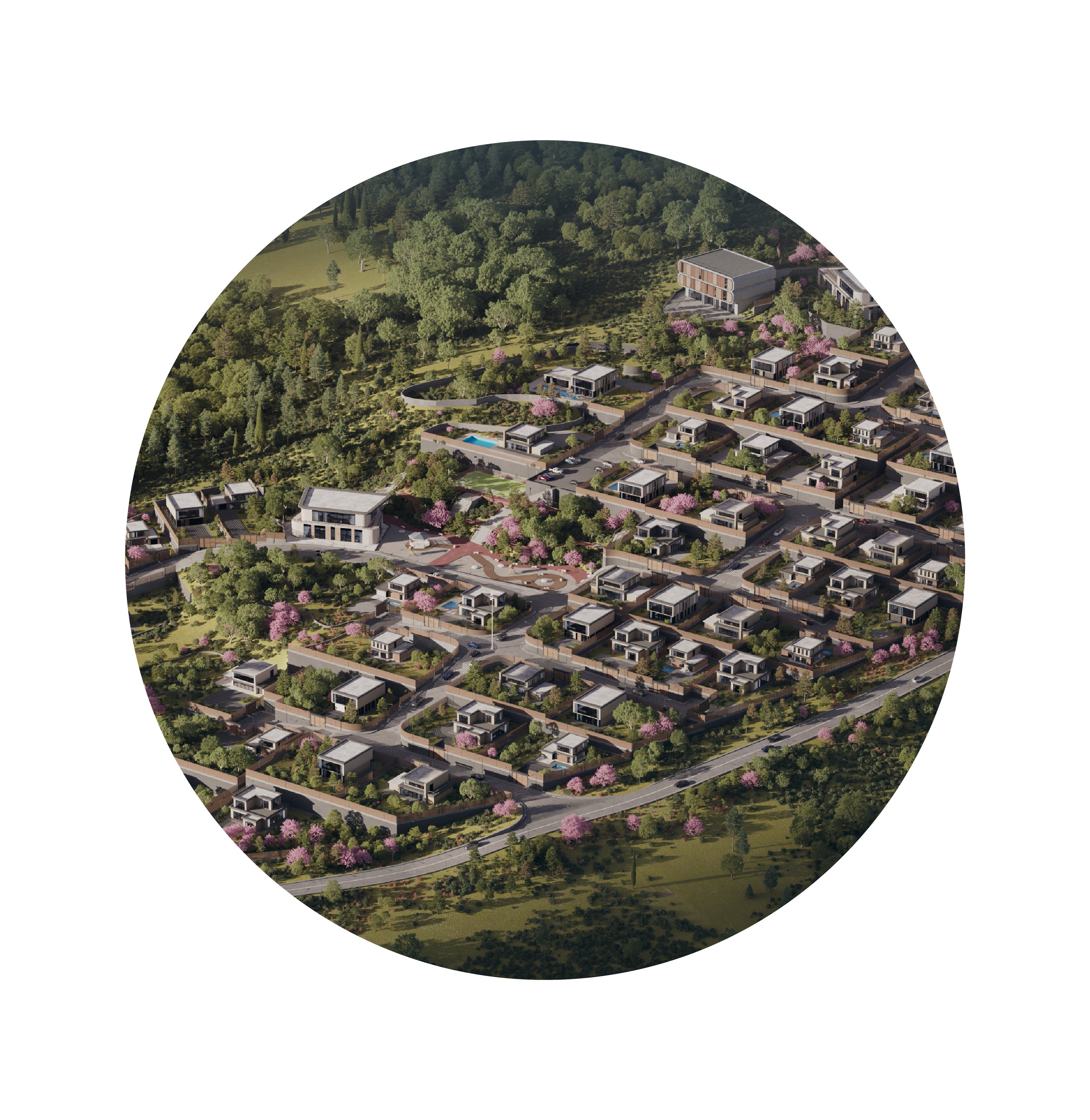 Lisi City View
